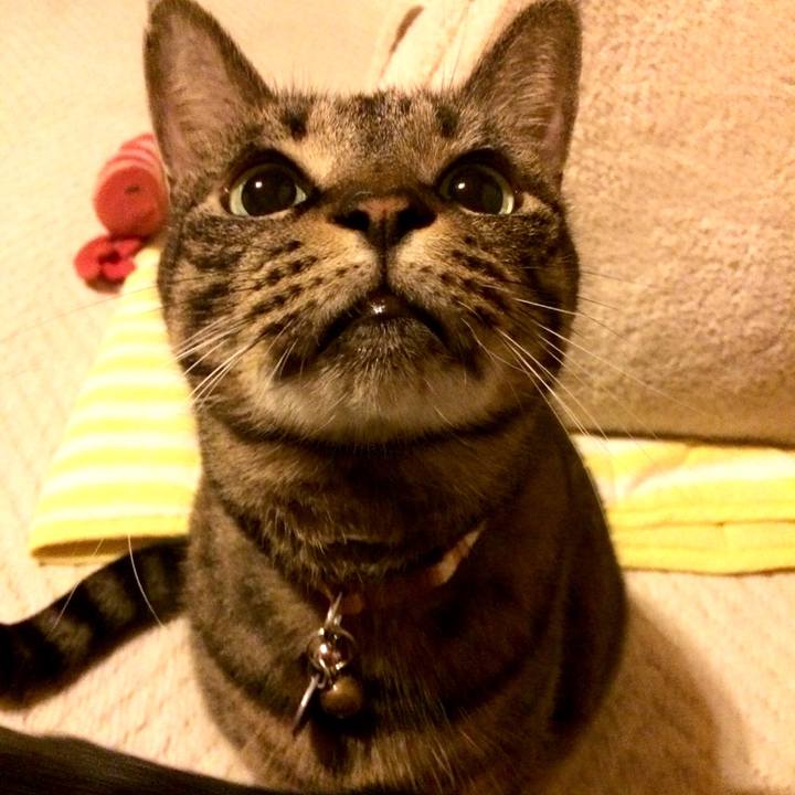 467948a8 fd94 41c0 966a 2f5afa3a1a02