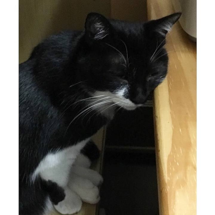 46797d91 2dc9 4cee 894a 7c17b2d3988c