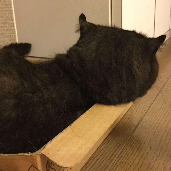 4679c476 968f 4dc5 8db5 6182ab840480