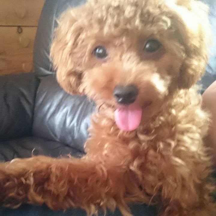 467a49e9 db39 43ae 9145 14b08f57f658