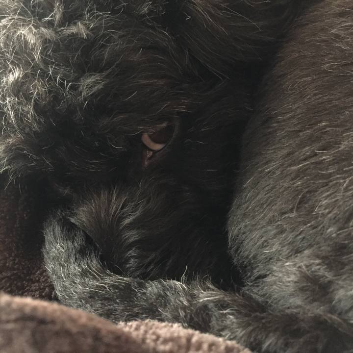 467a8c9b 756e 4627 a3ea c63e33dafd0b