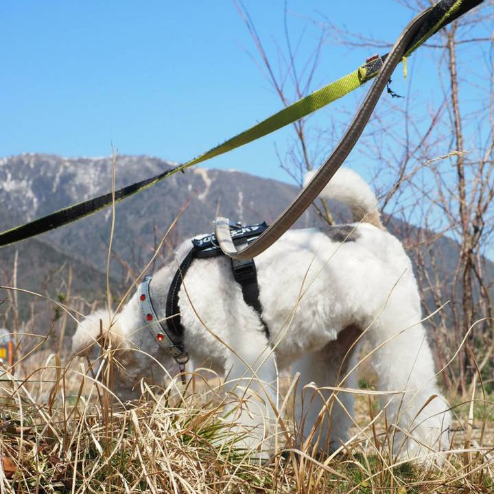 467ad9cb 33a5 40f2 aad6 67a2836b149c