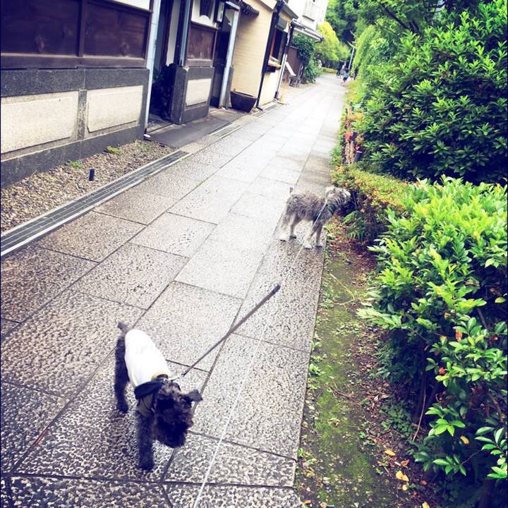 467b0038 0f58 46ca a2b1 088c99b55a47