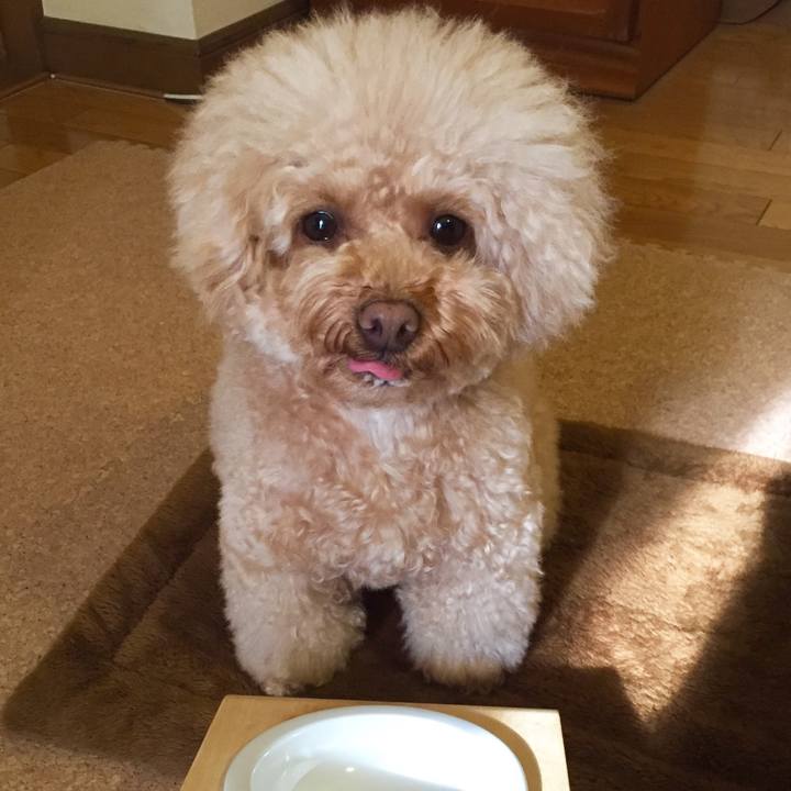 467b3e99 8263 4cab 943f d67fc697d4e5