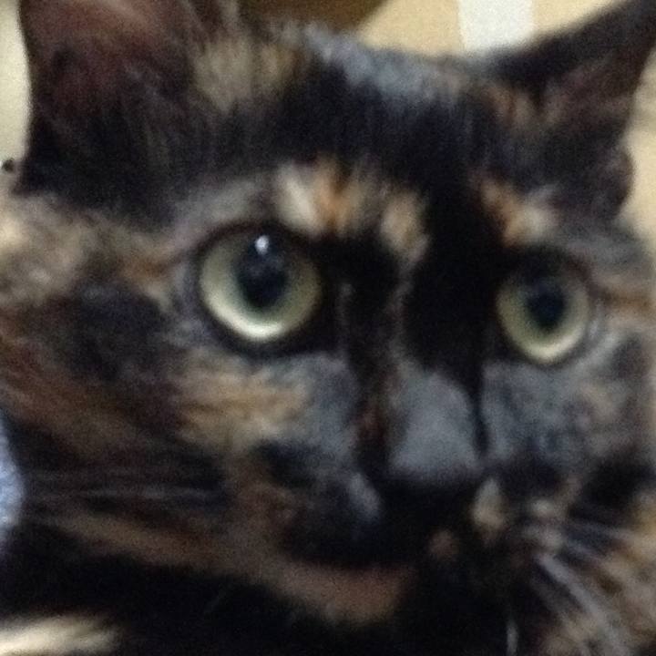 467cb753 a294 45f6 a1f6 ed2b7212940c