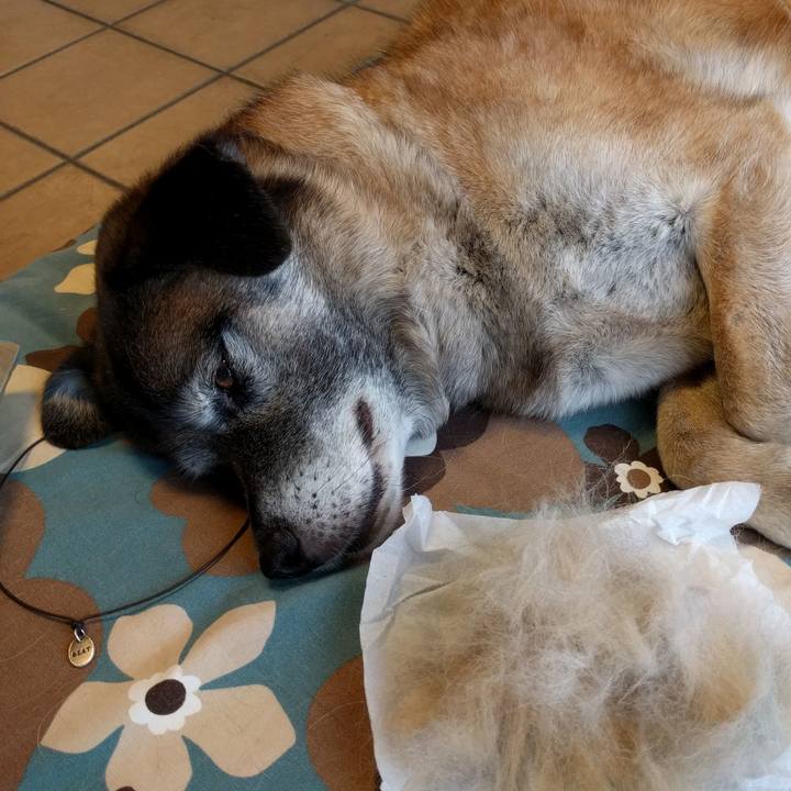 467cd5a7 c0da 4136 ae09 62eb17573687