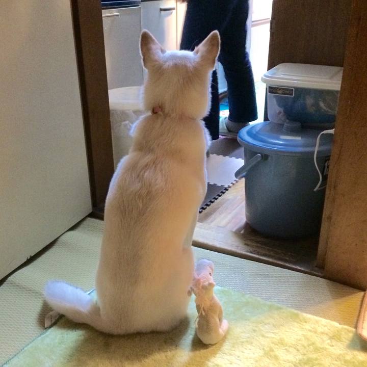 467da1b5 ebec 494d 8c9a a1aa3a54e54a