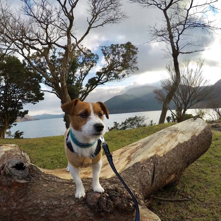 467db3ce a88a 4e4e 8a6a b7fed07dcc63