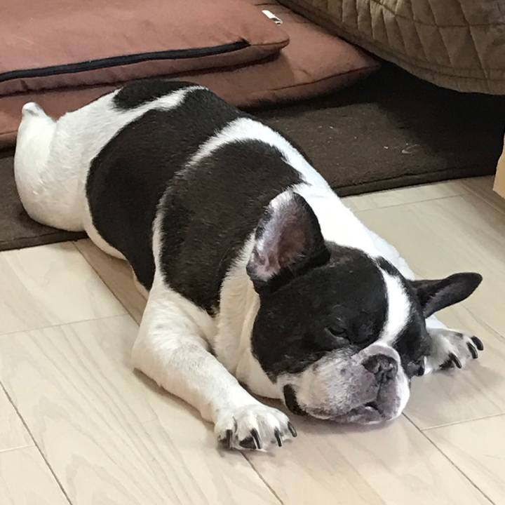 467df2f4 5d3b 46bb a16d b1ea5e77499e