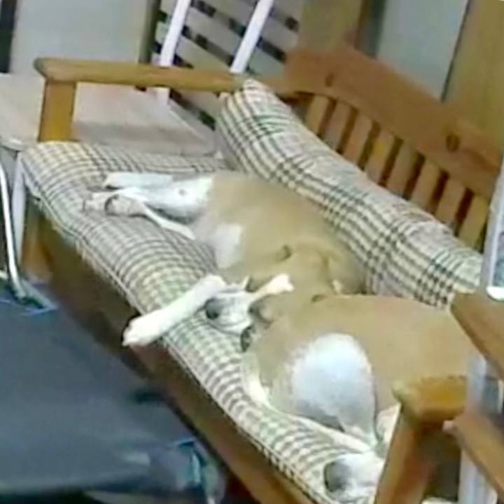 467f0ec5 03b0 4e14 843b 6ffb2c3533c0