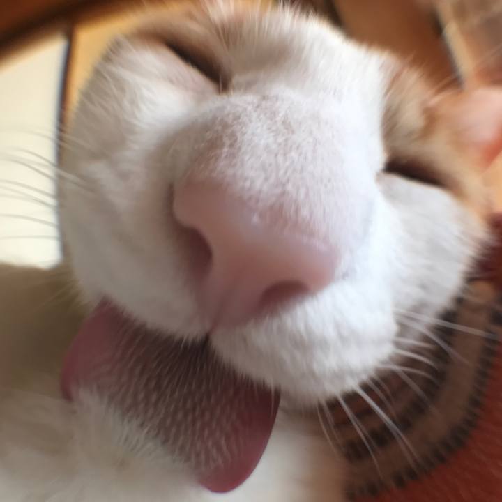 467f1fd2 e057 40dd afb9 a5b2b39f14d1