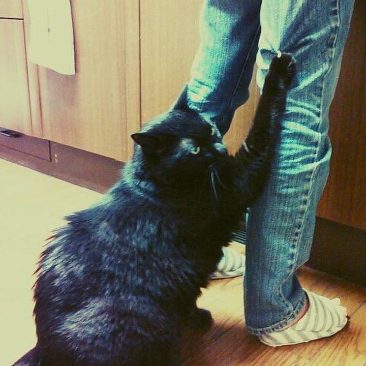 4680199b fe1e 42a8 924b 908fa2fa4758