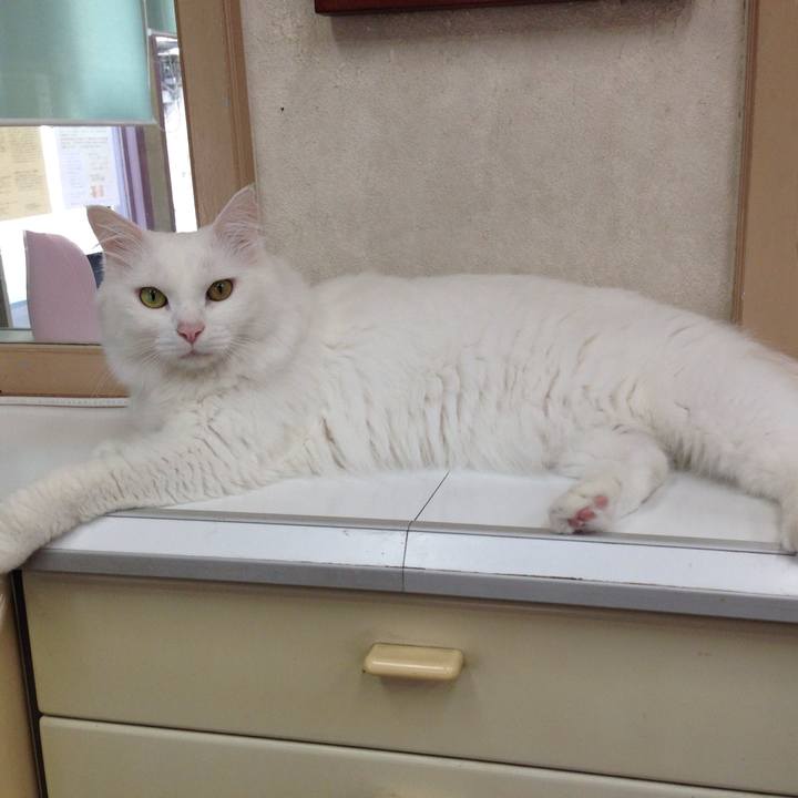 46802b4d eed3 459d acd4 951fa62a97dd