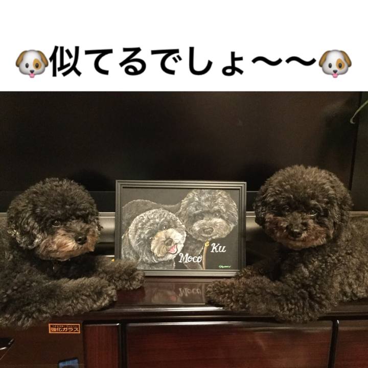 46807896 d9a4 44f2 ba77 643ab7e7da40