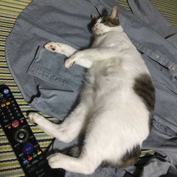 4680ac84 9085 49ea bbac bd6094415312