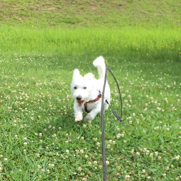 4681ae4e e2d6 46e4 9e5b 7523f10c8ccf