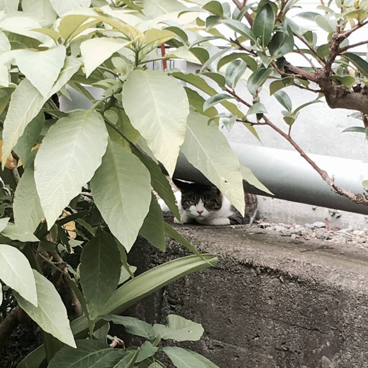 4681c3a8 0b13 40c8 b9b4 cfe67af54367