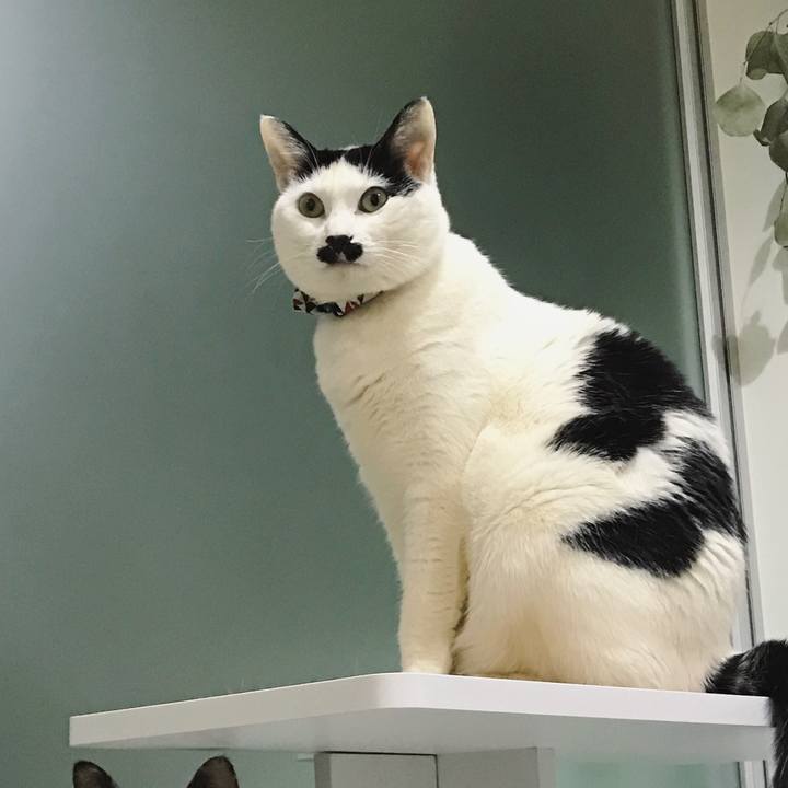 4681e5f4 520a 44fa aef5 f2cef3cfabd2