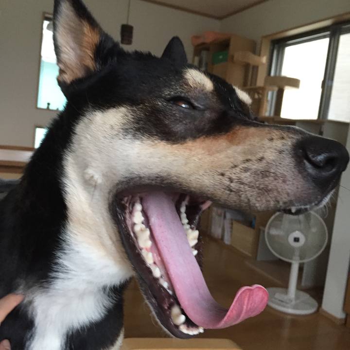 4683388e b8ab 4223 8e30 a8ba1d830b3f