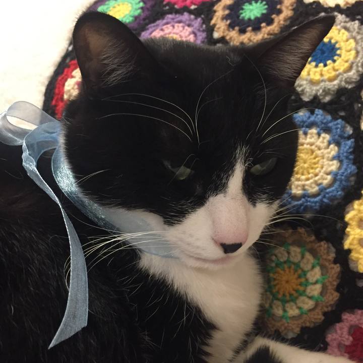 46833caf 18a5 4dfa aa62 4958b7c99788