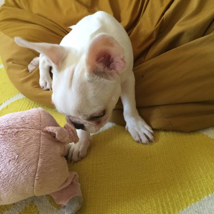 4683906f 4bf7 4bae b8ff b2a6e37afaec