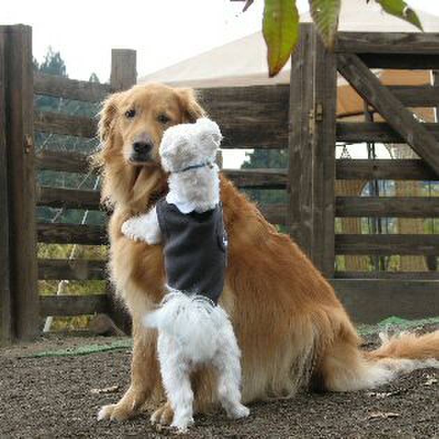 468392e2 aca1 4650 b527 cca231681ab1