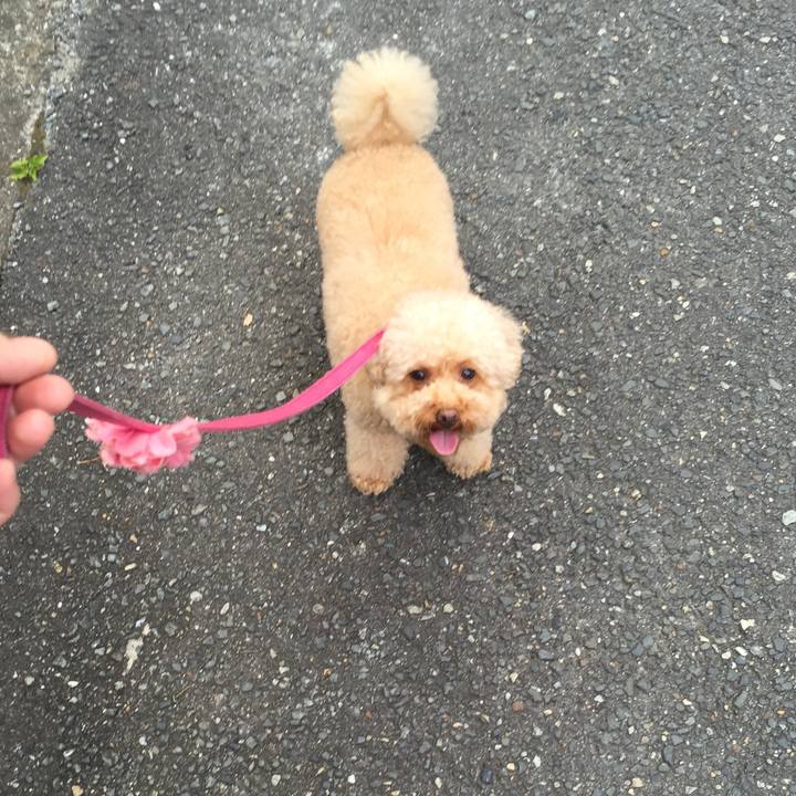 468422a3 377c 4106 aa9d 5cd7ed2b7c4f