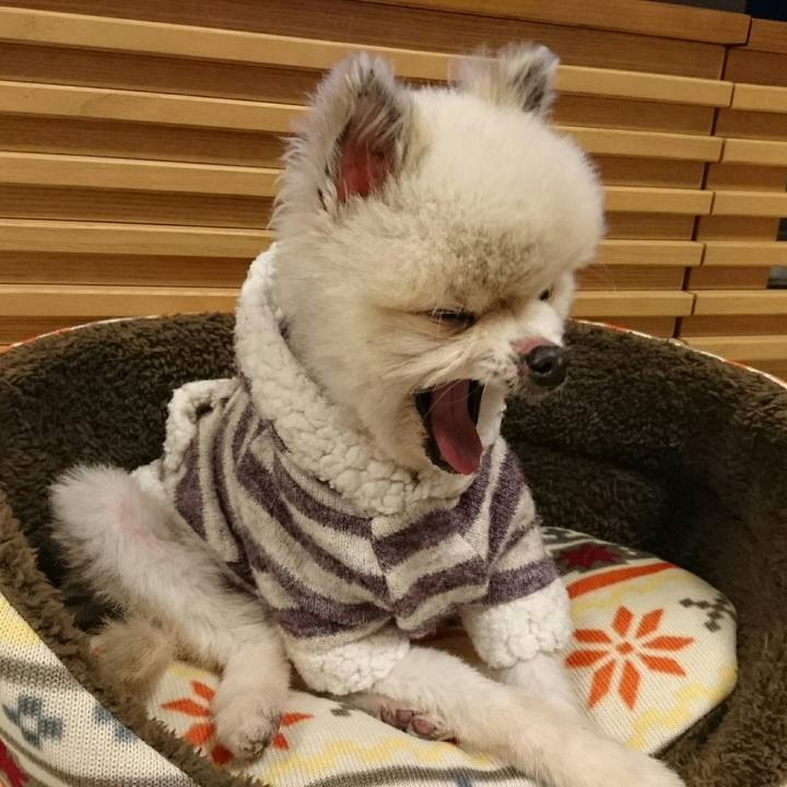 4684349c ba0f 46c2 942a 481e798d7768