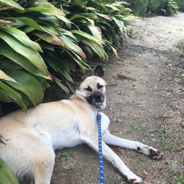 468475c9 d3cb 4307 869e ef5ca520798e