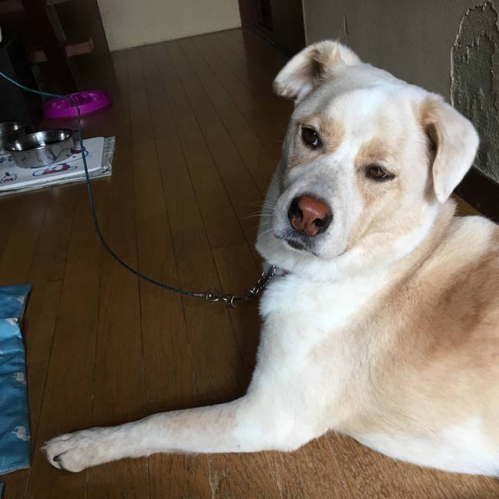 46848c04 63fd 4b11 b406 10a49a238503