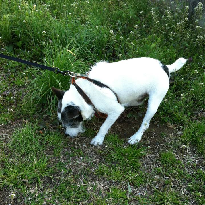 4684c025 bdcd 4370 9c29 3c4f02c07bc0