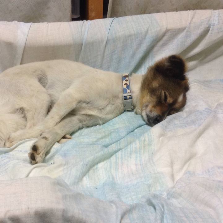 46854507 ce0b 4ce9 bfd1 261130d62a69