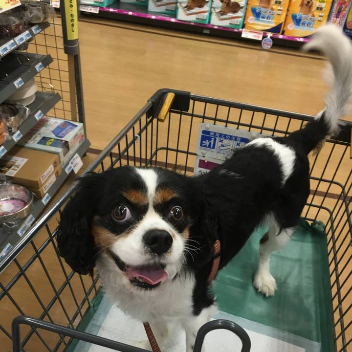 46857844 4401 4b66 8baf 38b28ac21a09