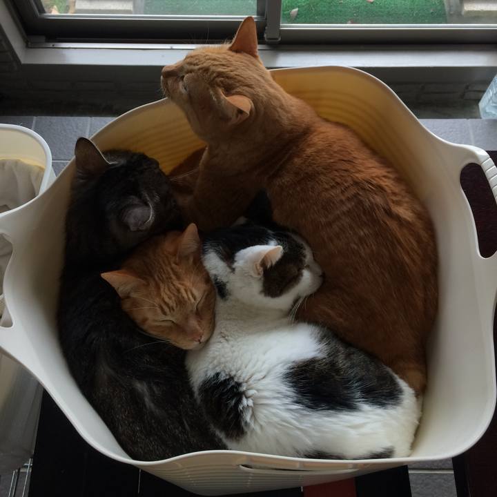 4685a0be 8fe5 48aa 8672 be1d94af6cad