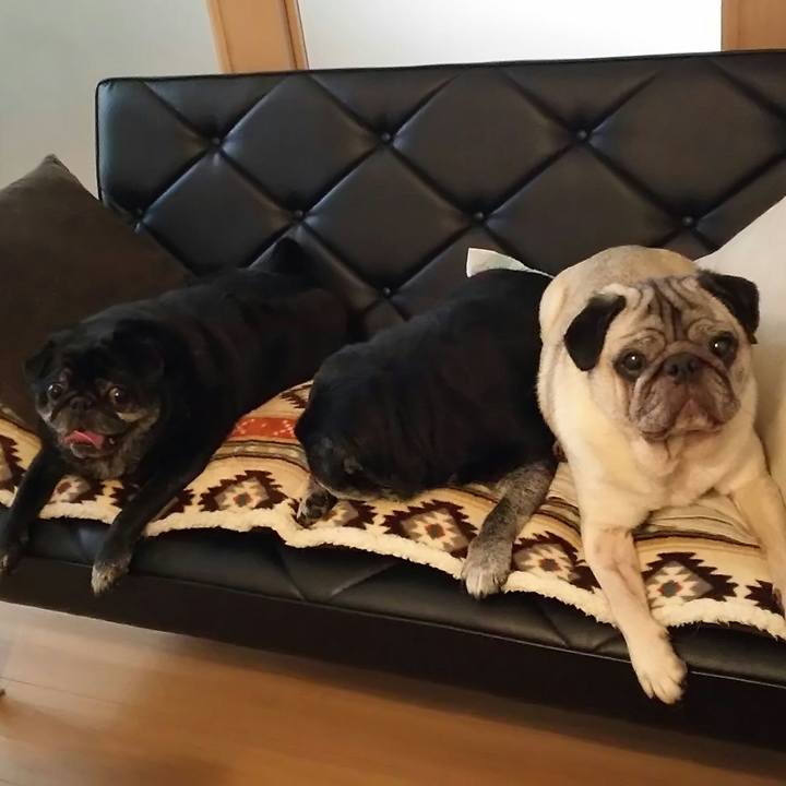 46865b6e 96f7 4d91 9cb8 2616bb3944cc