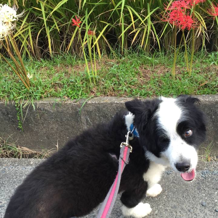 4686e93c 3885 4789 aeee a874ee0918c1