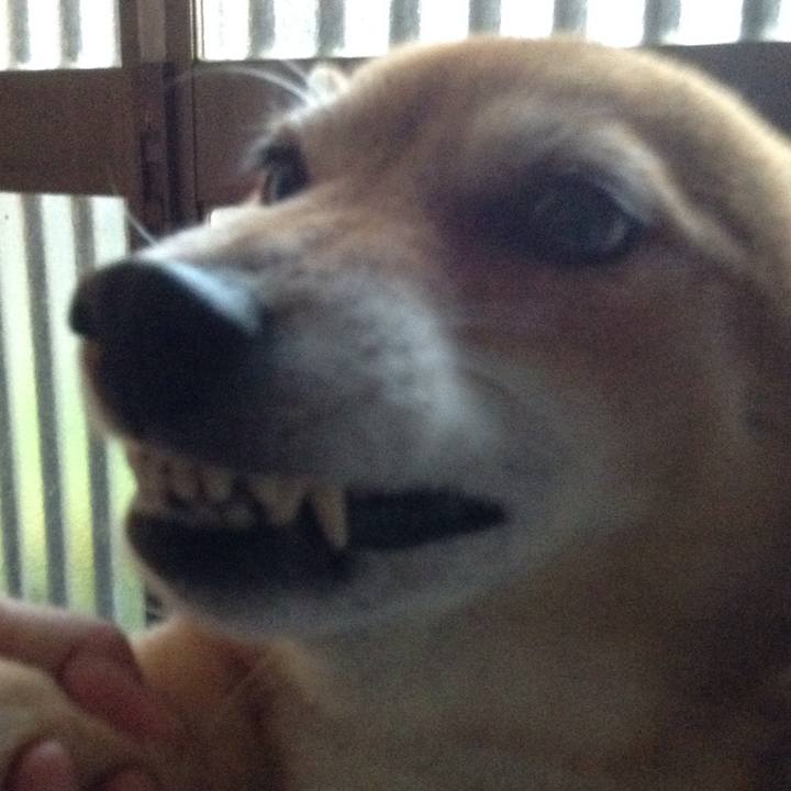 46871162 8b50 4eca b465 b71dc6ed7e43