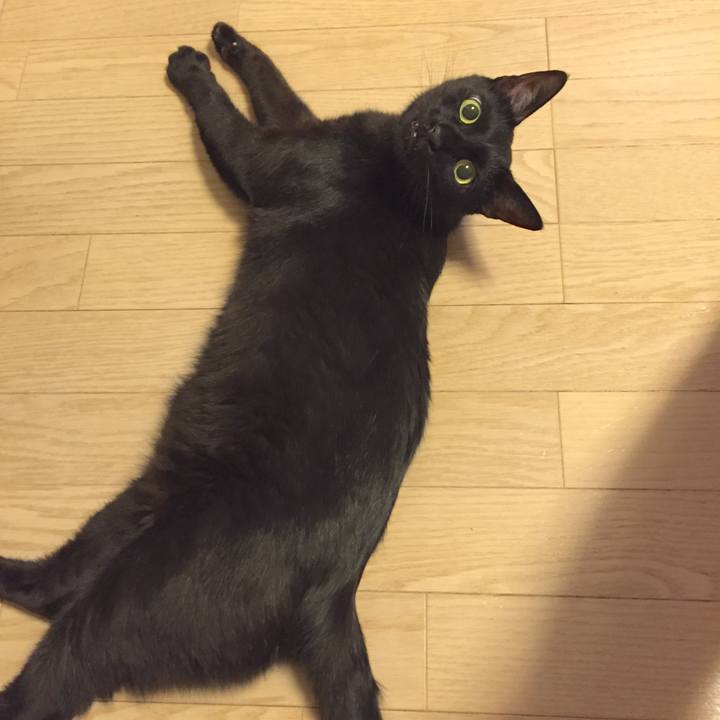 46873c30 3302 4e38 959a 55d7e0f0a94d