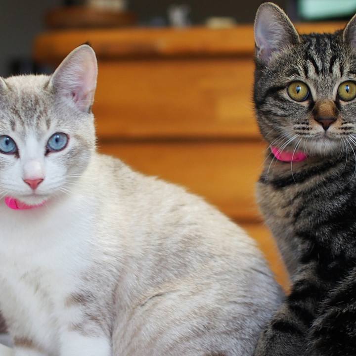 46873fe8 84c5 4691 bd48 890a6d5bb675