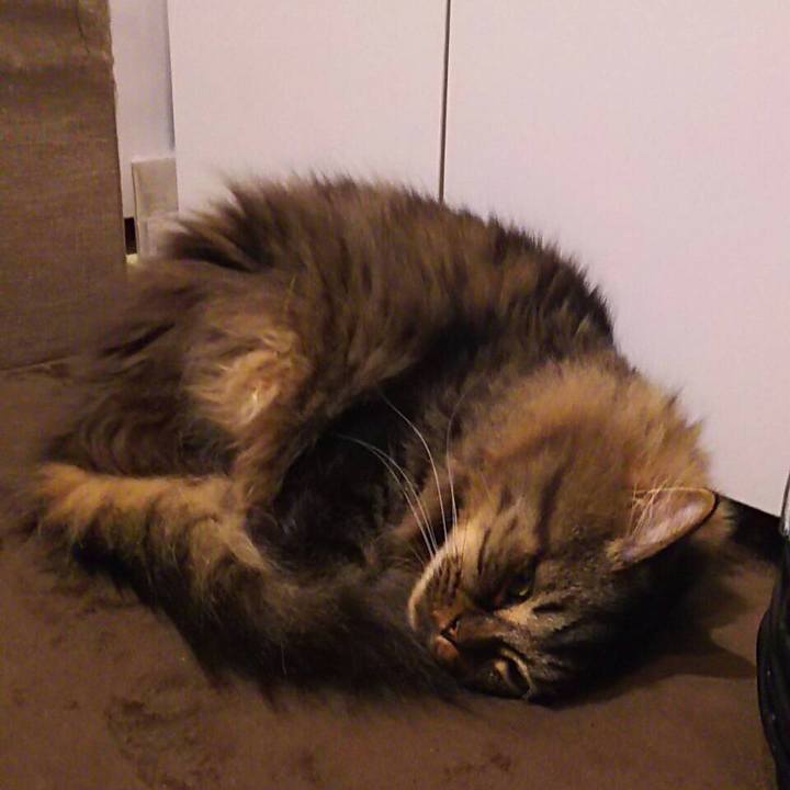 46874e29 5627 4bcb 85cc 9a9d7970da71