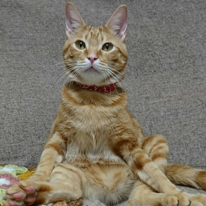 4689ca91 1e3e 4dad a7bc a24ee4155fbc