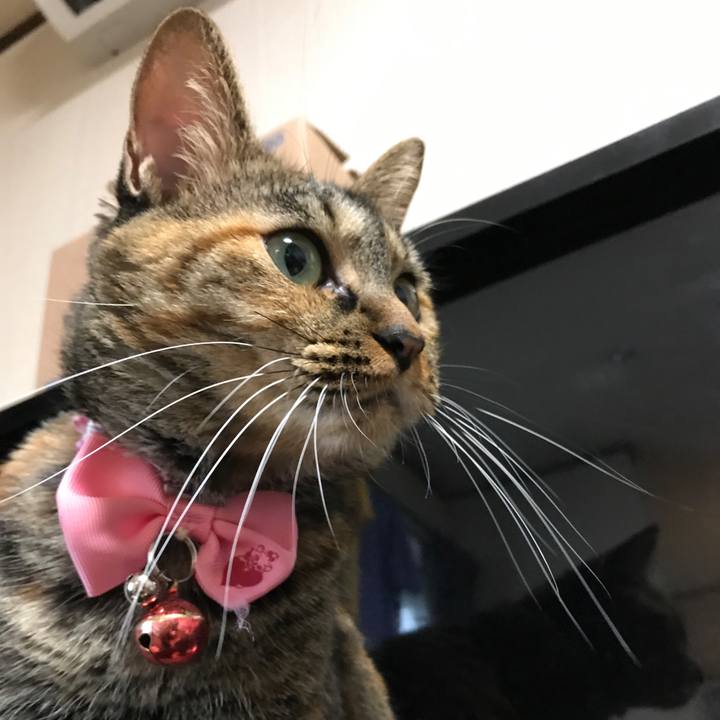 468a4a8e 01a3 4f7e b7bd f7b209f96d36