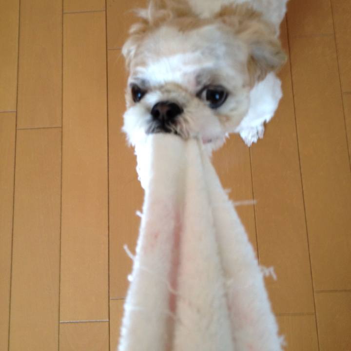 468a7bef 178f 4203 b494 f3ce25b35829