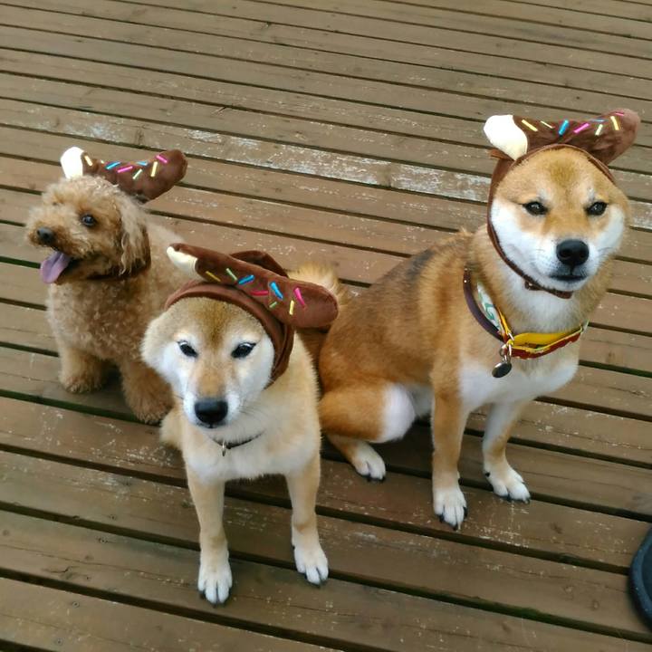 468b49e1 ff0d 437e aedc 21e10f289764