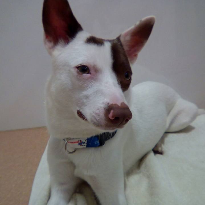 468b5e33 af2c 41fc ad58 ee217b93f7a0