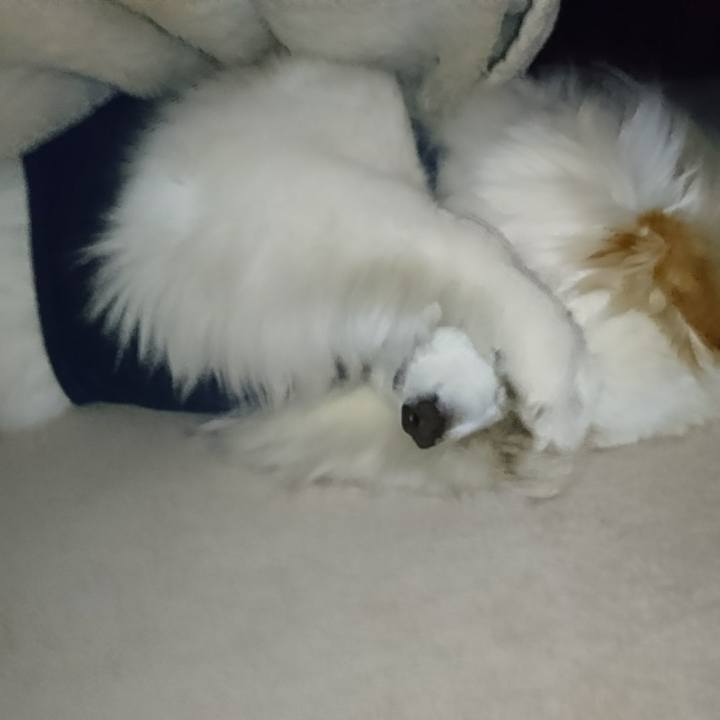 468bf58e 60b9 41c0 9c31 96763b45f620