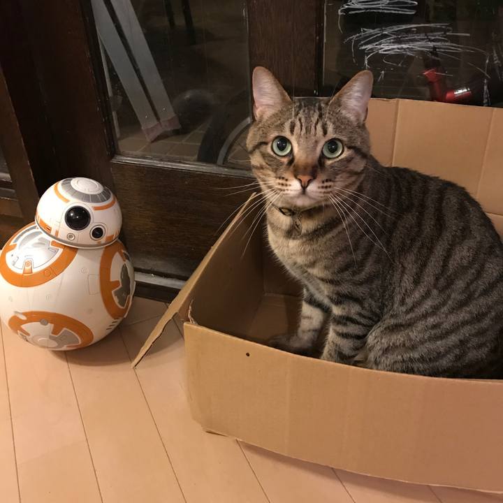 468c2e9c 2500 44a9 b05f 483791c12f48