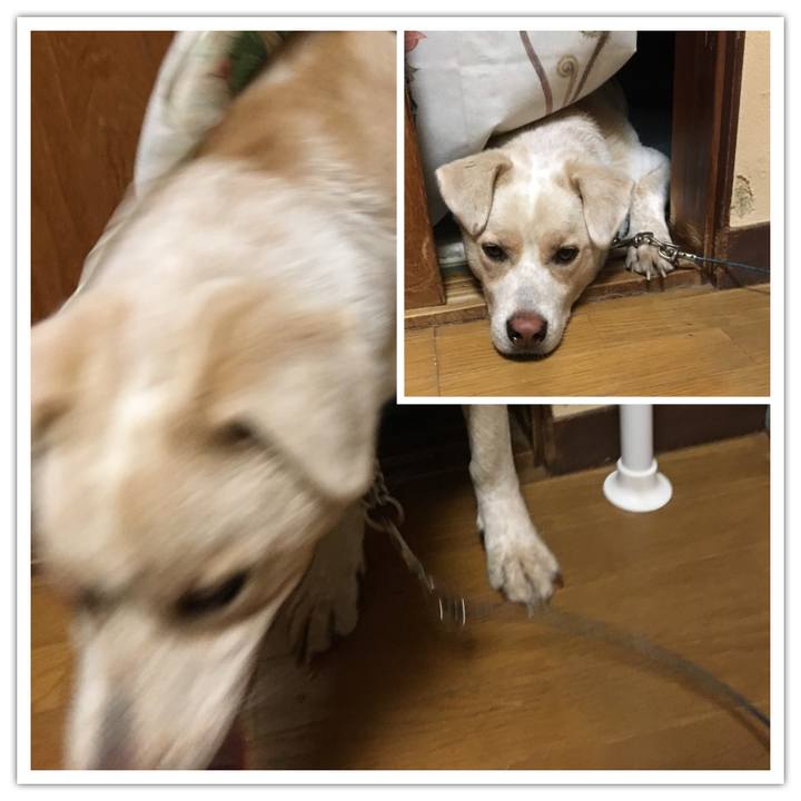 468c7481 fa78 4f46 914a 874288e094e7