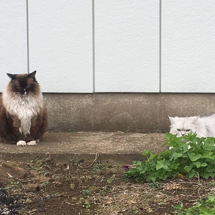 468ceeb6 7dc3 45ae ab6d 777a7ad53962