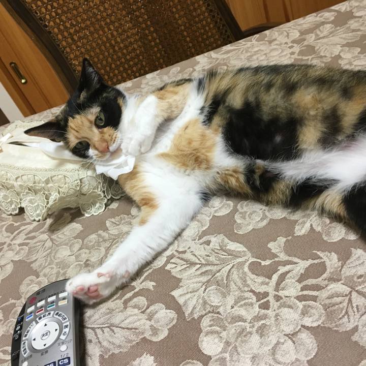 468d67d3 e794 4704 b2d7 04a6efc8a8e5